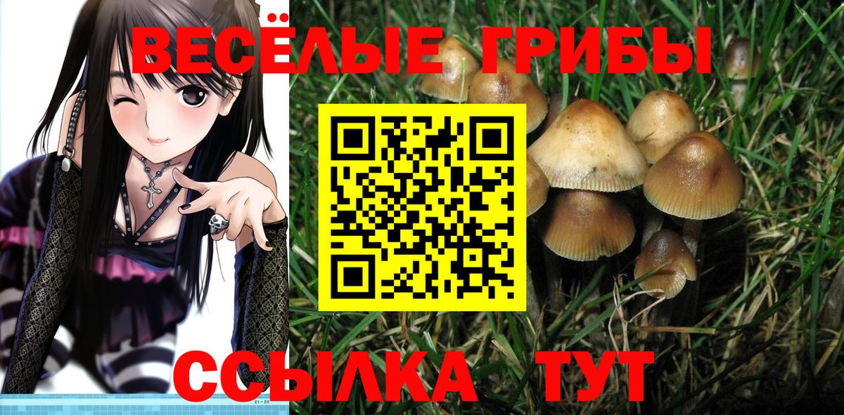 Фрязино  Псилоцибиновые грибы ЛСД  Вход с VPN 